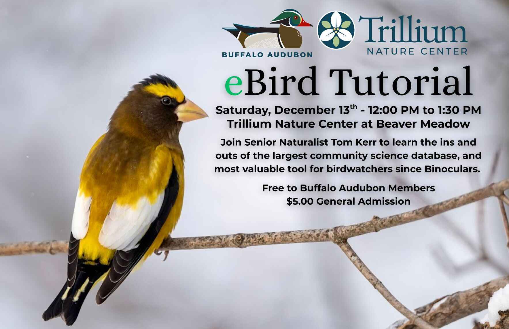 WBC eBird Tutorial image