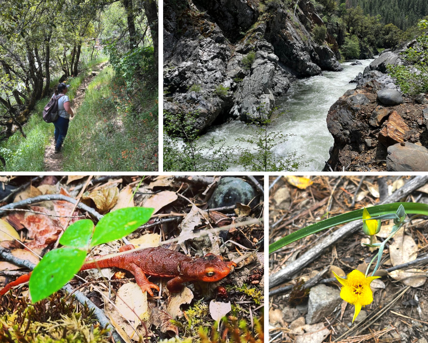 Hike, Bite & Delight at the Deer Creek Preserve image