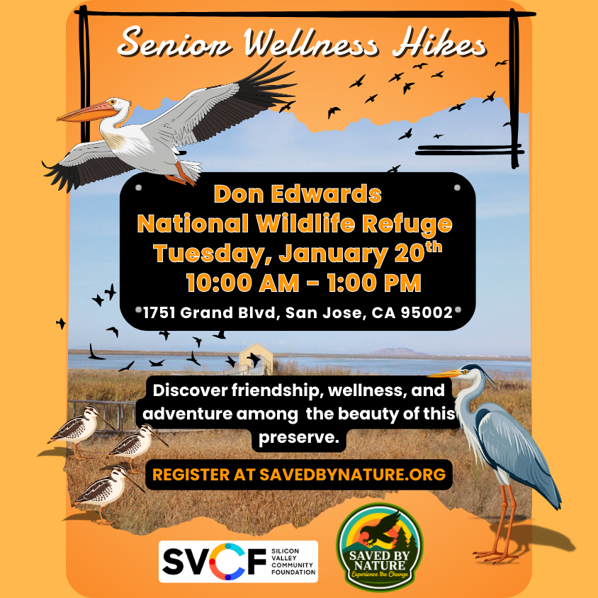 Senior Wellness Hike - Don Edwards National Wildlife Refuge - Alviso Boardwalk image