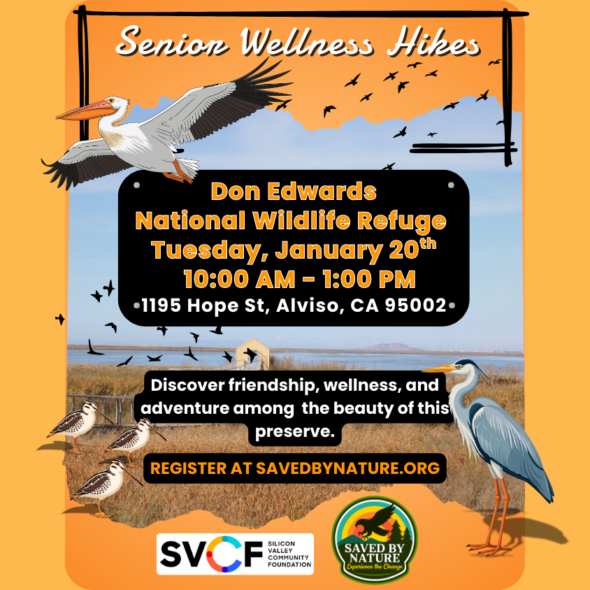 Senior Wellness Hike - Don Edwards National Wildlife Refuge - Alviso Boardwalk image