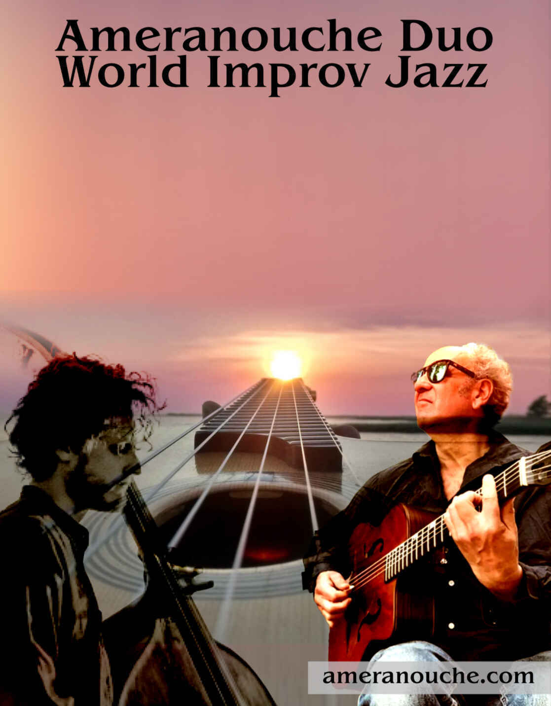 Ameranouche Duo World  Improv  Jazz image