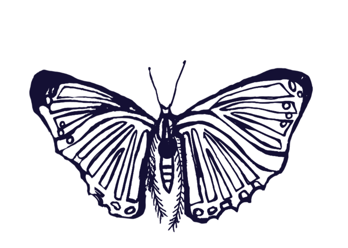 i am somebody  image