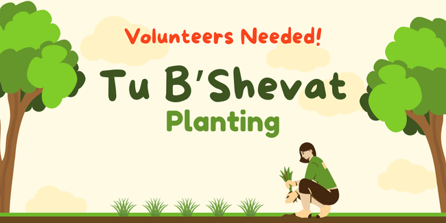 West - HSC - San Diego - Tu B'Shevat Planting - 2026 image