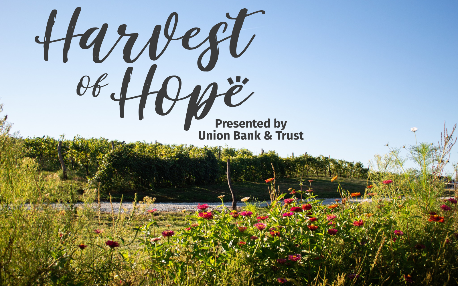 2026 Harvest of Hope image