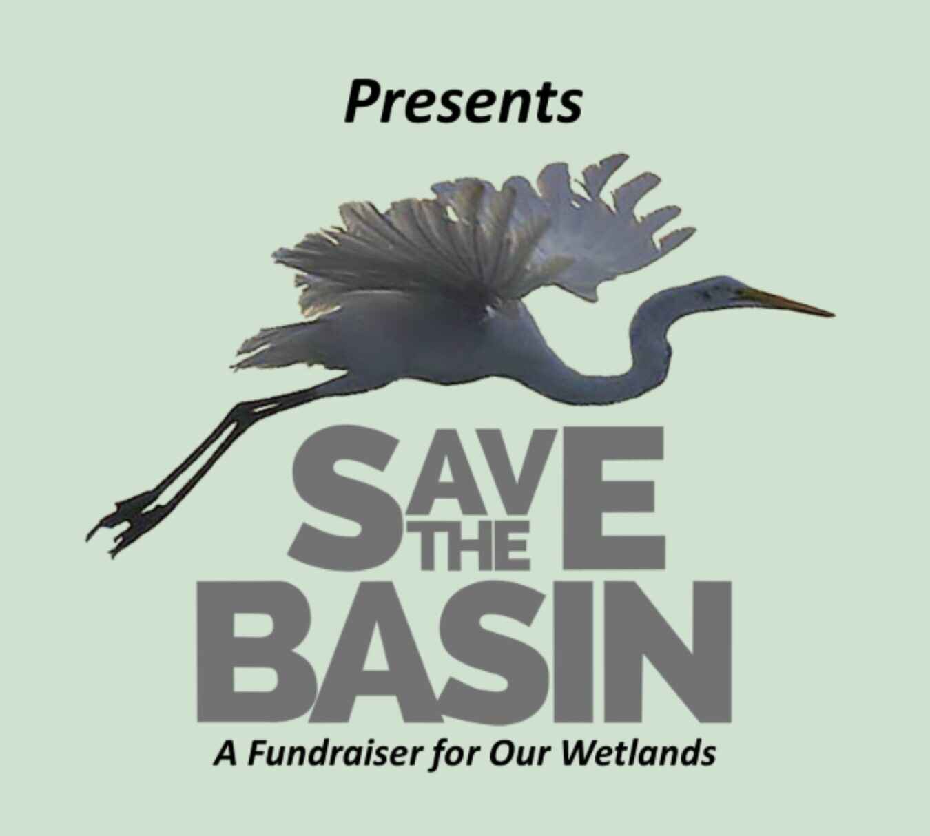 10th Annual Save the Basin  image