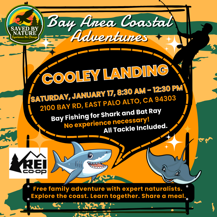 Bay Area Coastal Adventures - Cooley Landing - Bay Fishing for Shark and Bat Ray image