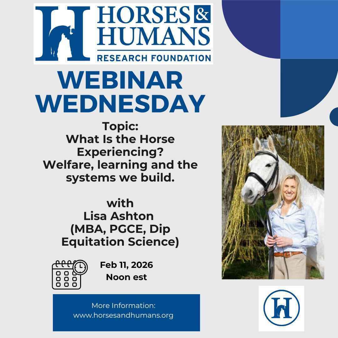 What Is the Horse Experiencing? image