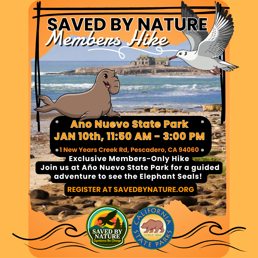 Members-Only Hike at Ano Nuevo image
