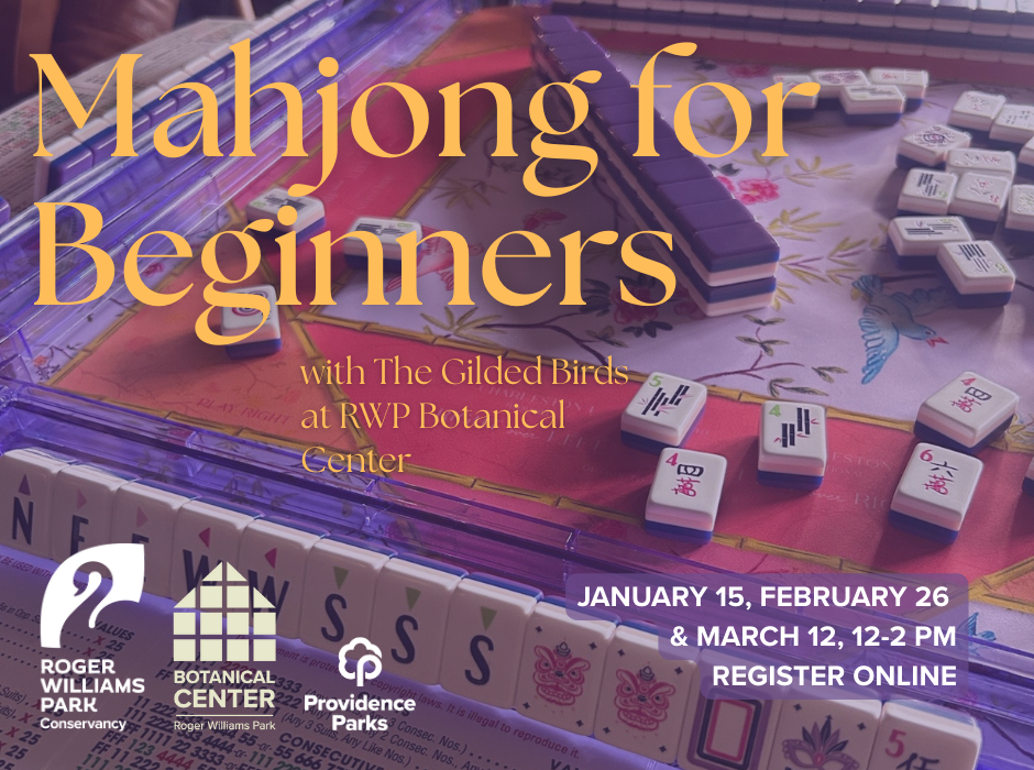 Mahjong for Beginners at RWP (January 15) image