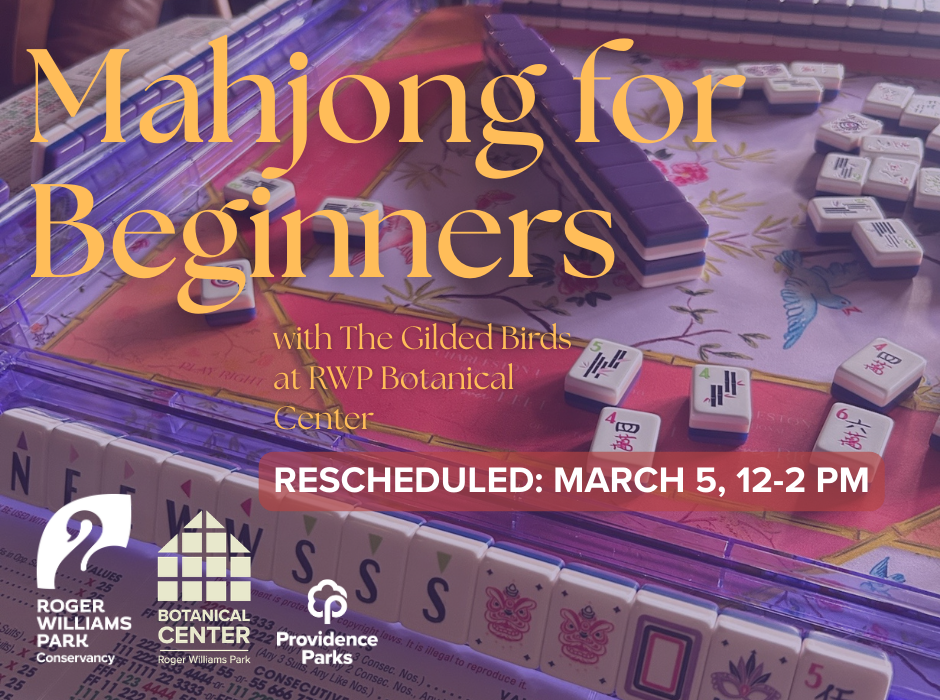 Mahjong for Beginners at RWP (New Date: March 5) image