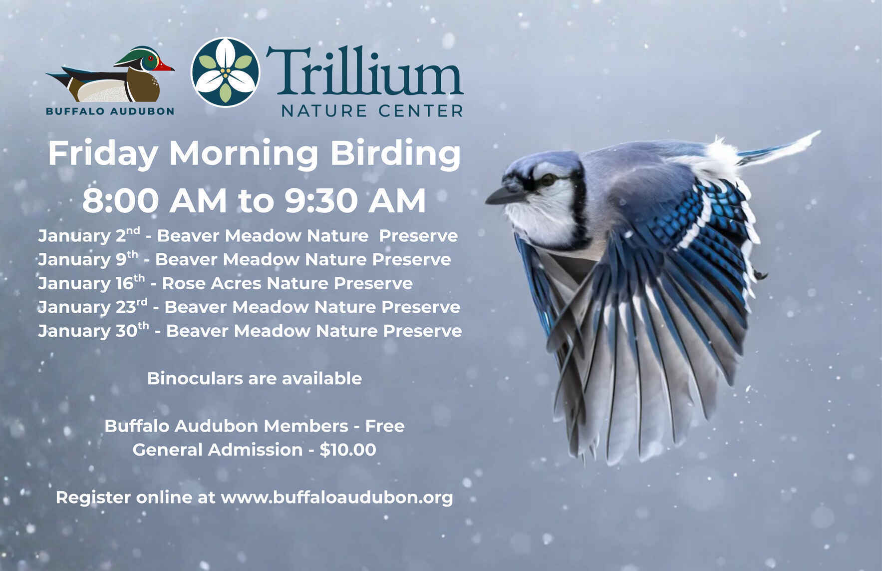 Friday Morning Birding - Rose Acres (January 16th, 2026) image