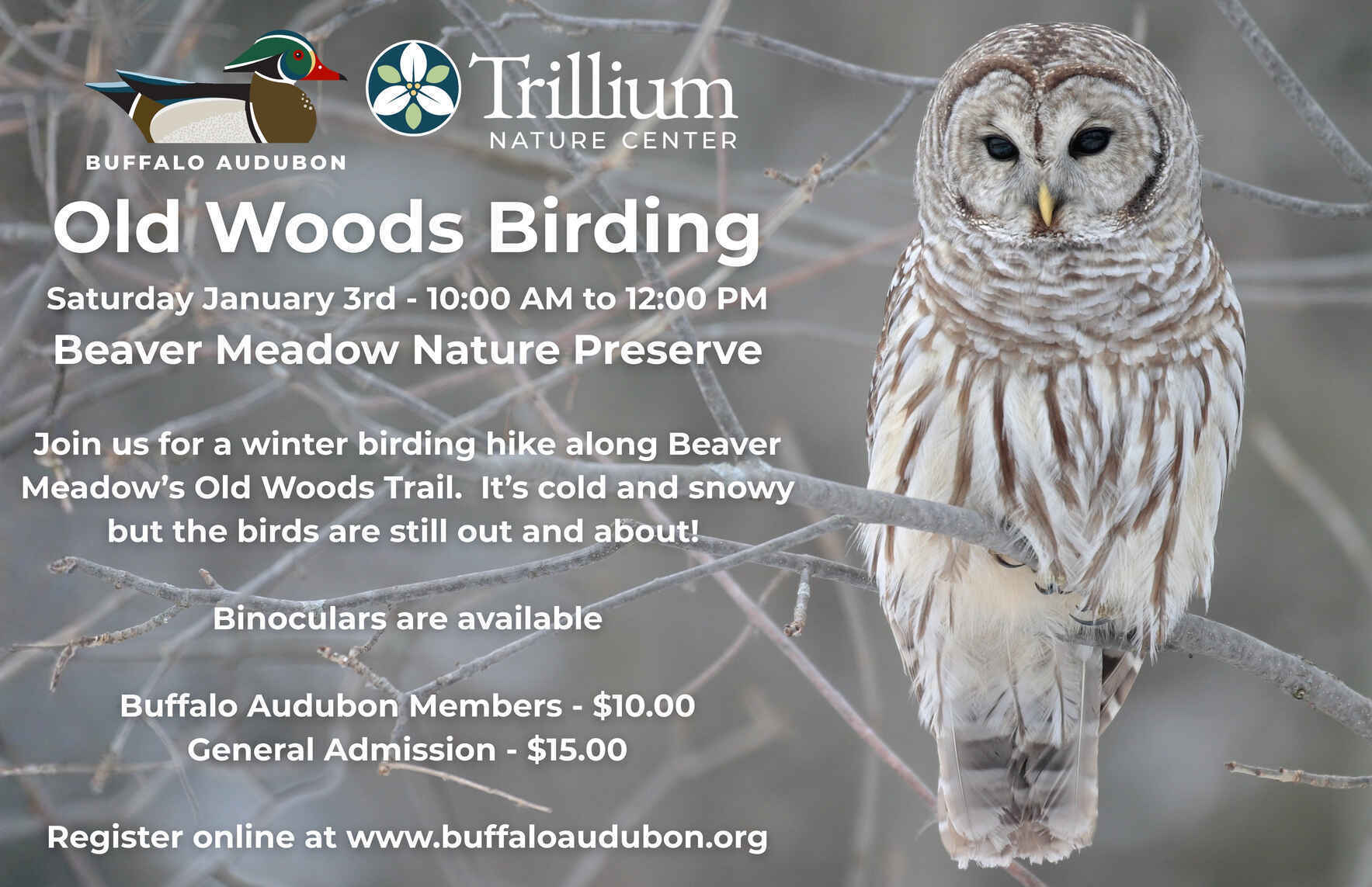 Old Woods Birding - Beaver Meadow image