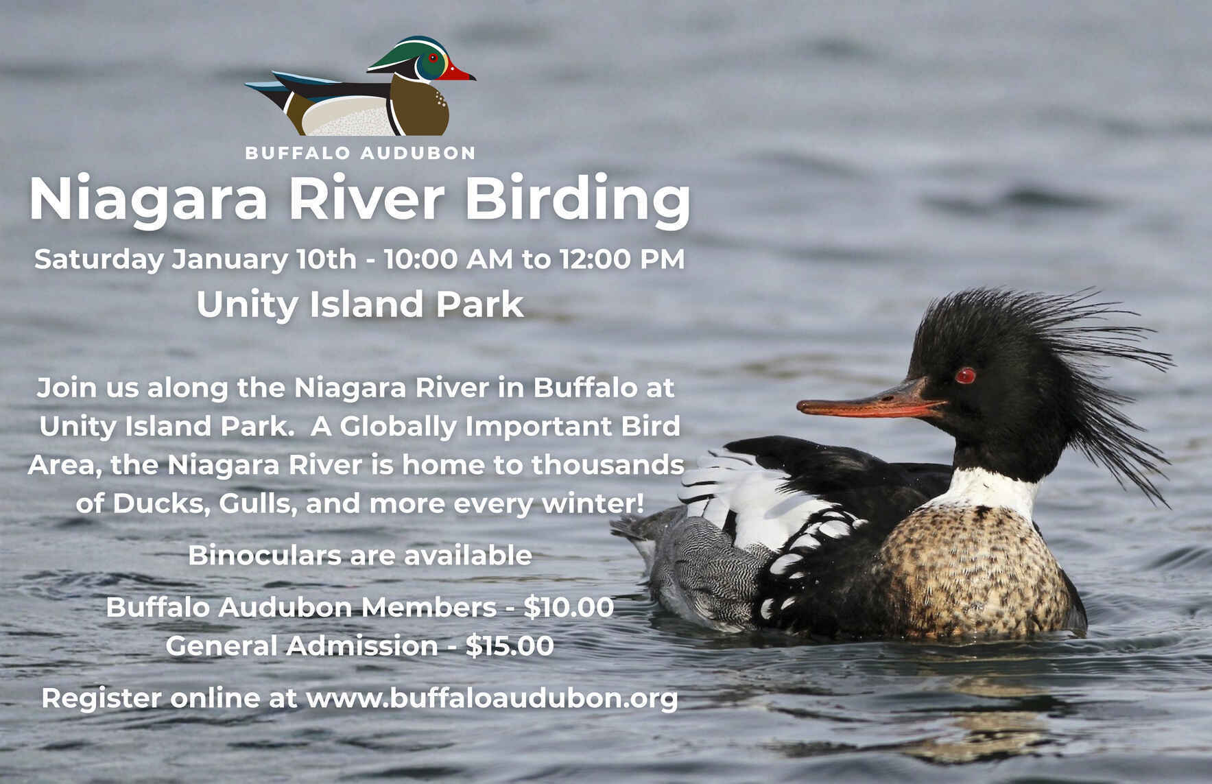 Niagara River Birding - Unity Island image