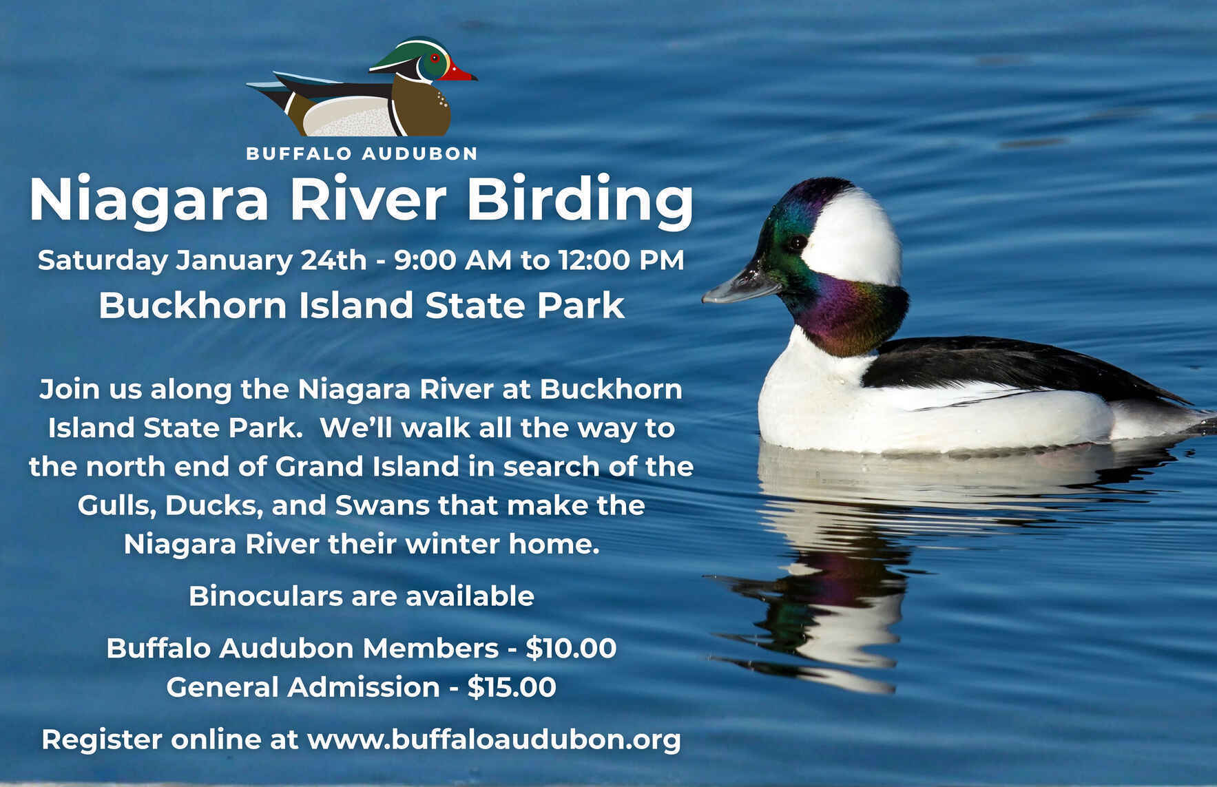 Niagara River Birding - Buckhorn Island State Park image