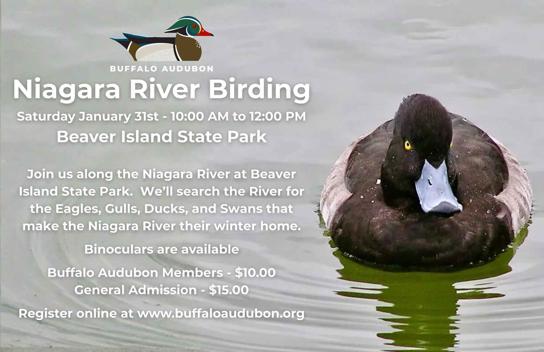 Niagara River Birding - Beaver Island State Park image