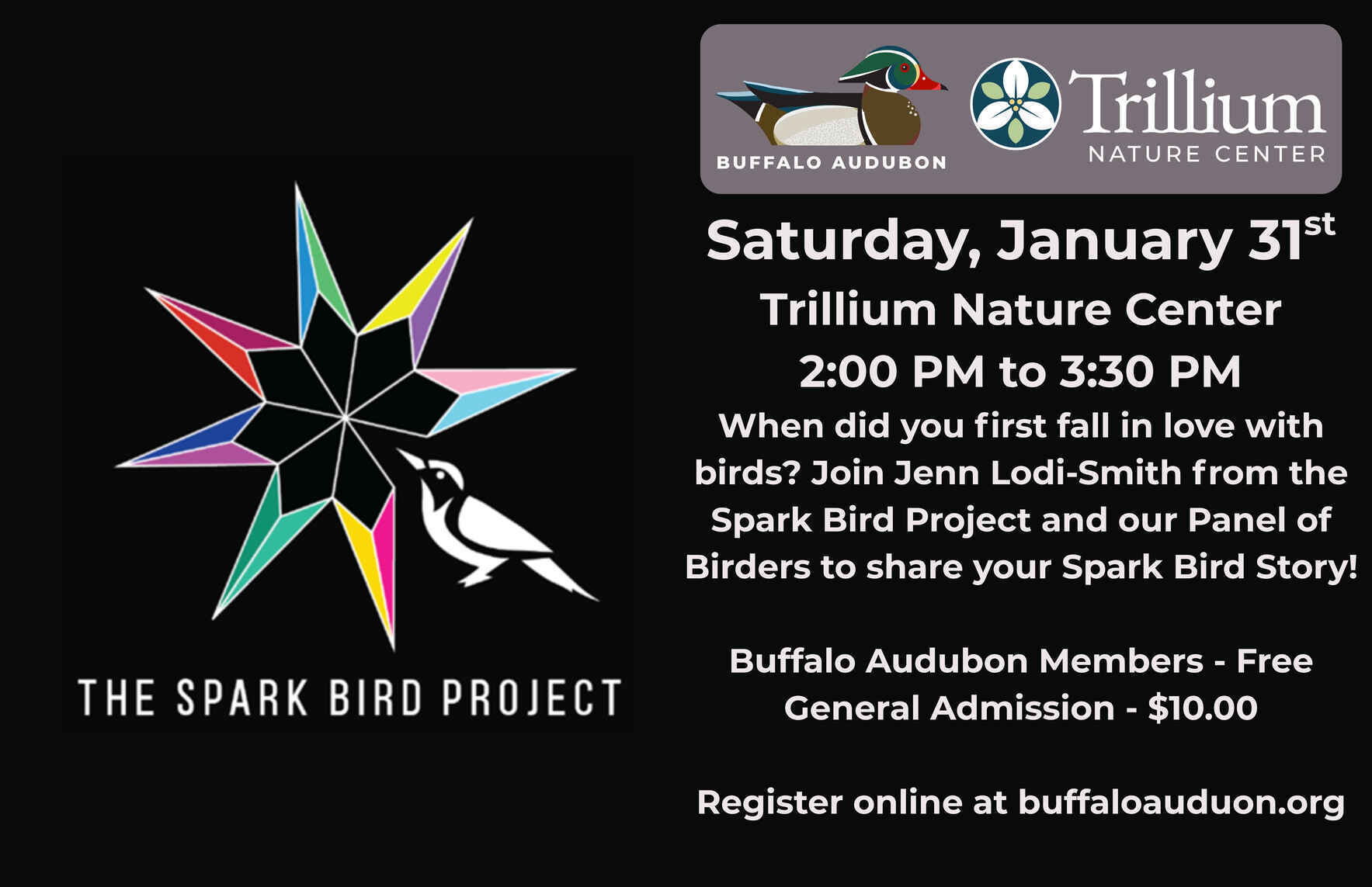 Spark Bird Panel image