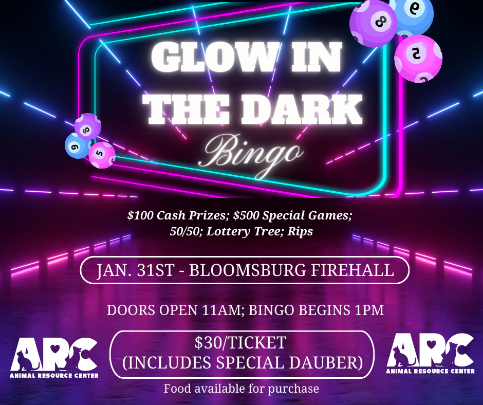 ARC Glow In The Dark Bingo image