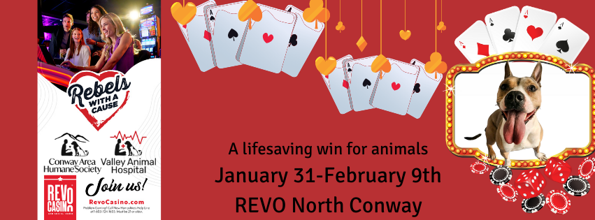 REVO Casino Gaming Dates 2026 image