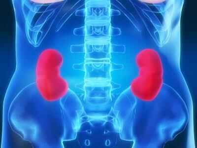 2026 Professional Renal Education Conference image