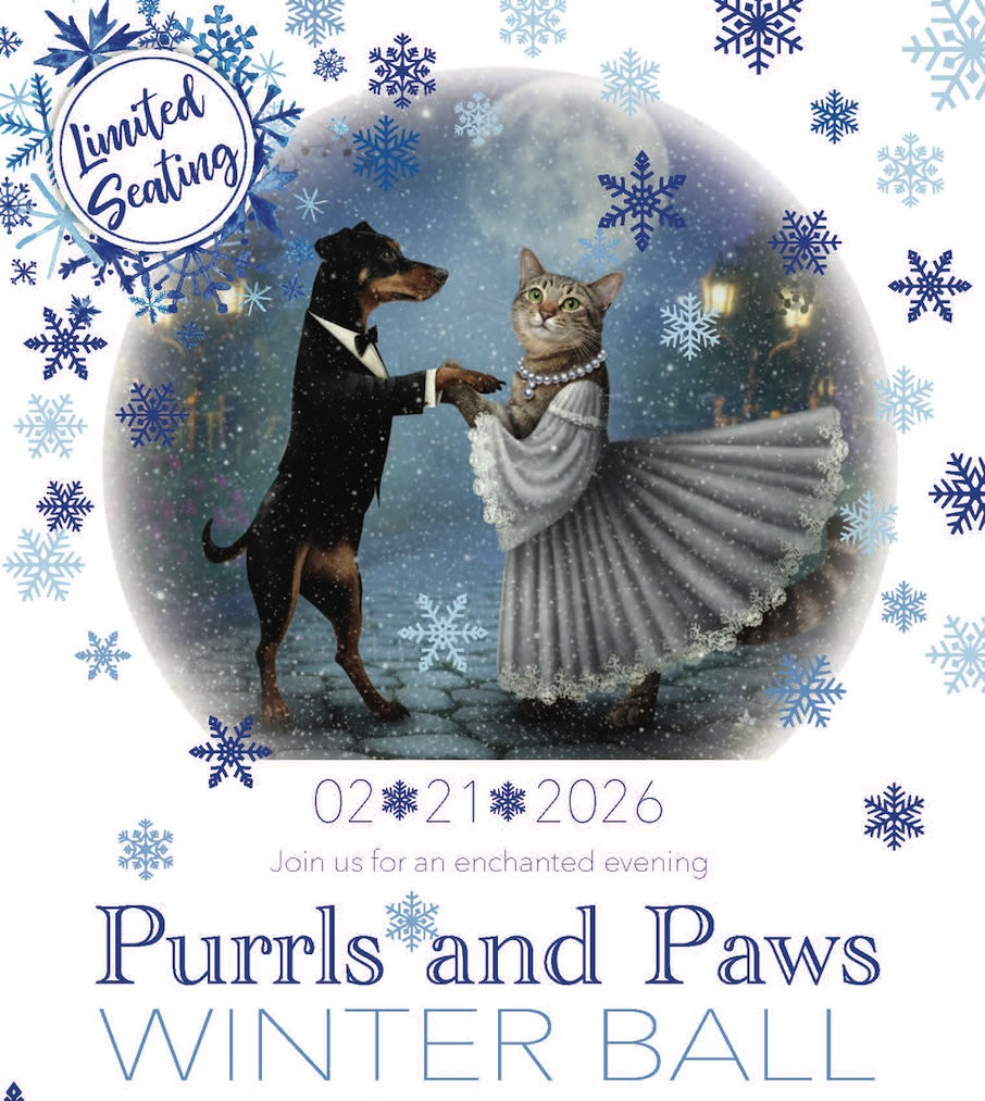 Purrls and Paws Winter Ball image