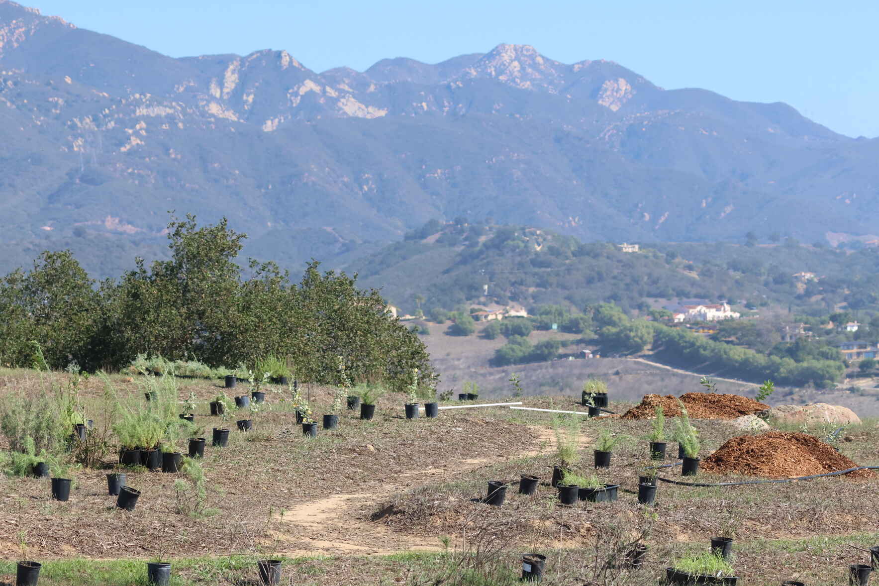 Volunteer Planting Day: Ethnobotany Garden - Jan 30 image
