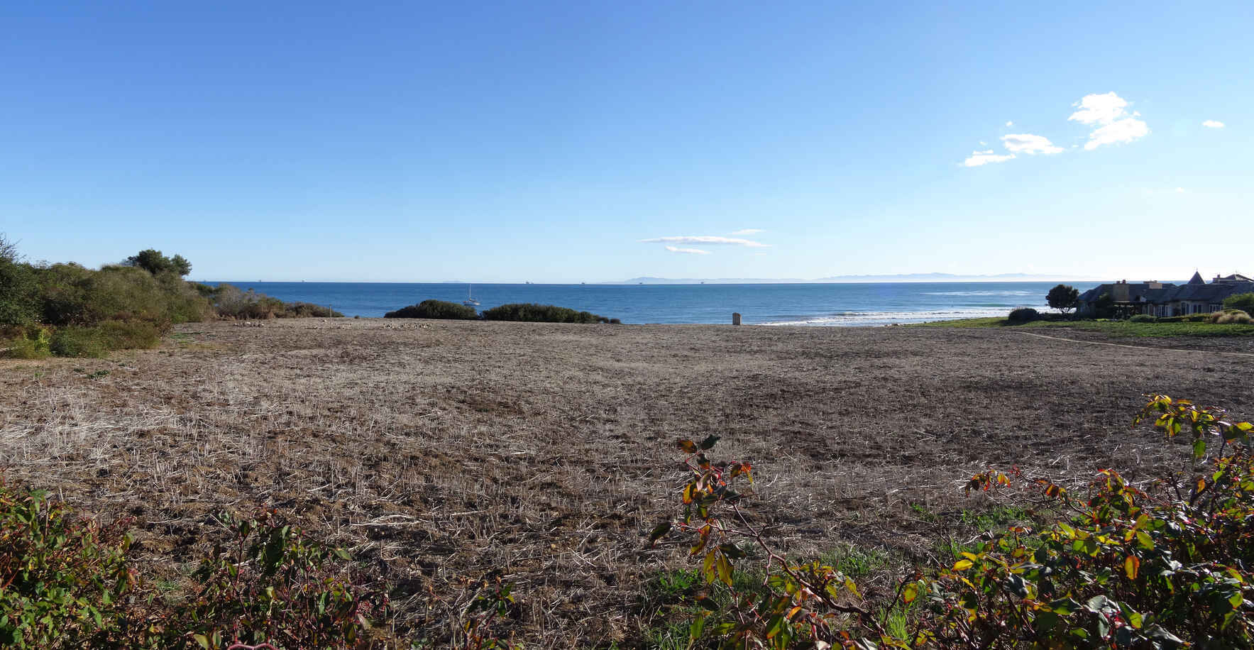 Hammonds Meadow Planting Project Jan. 2026 image