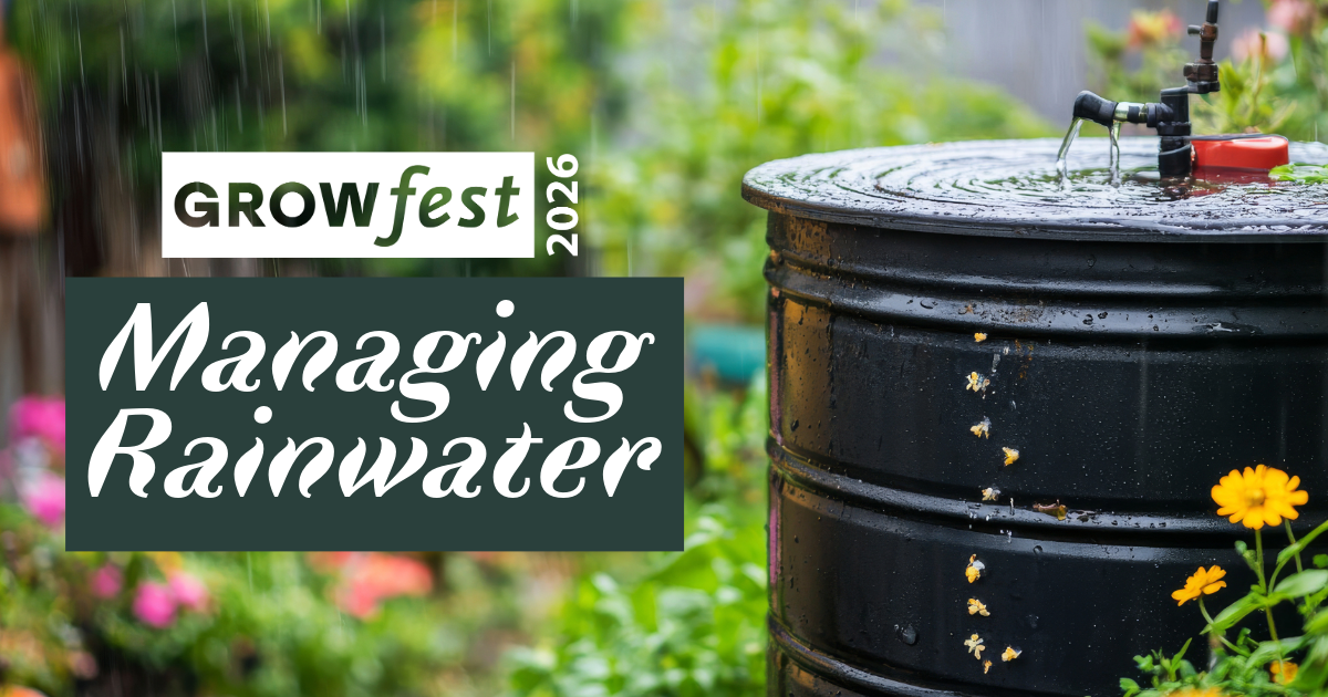GrowFest 2026: Managing Rainwater image