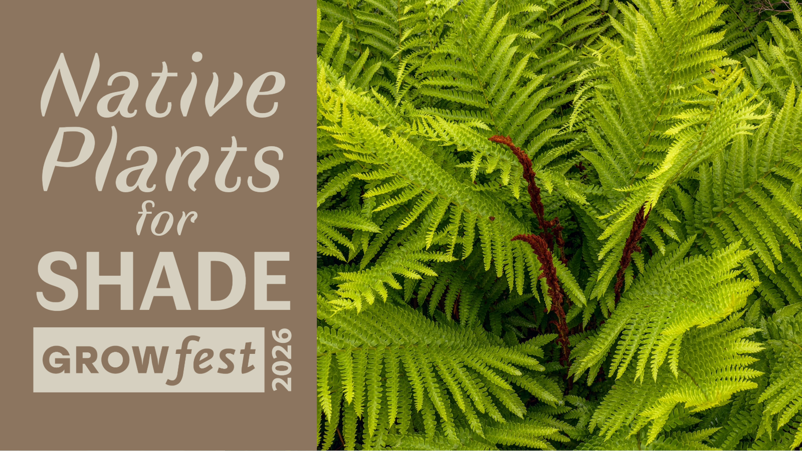 GrowFest 2026: Native Plants for Shade image