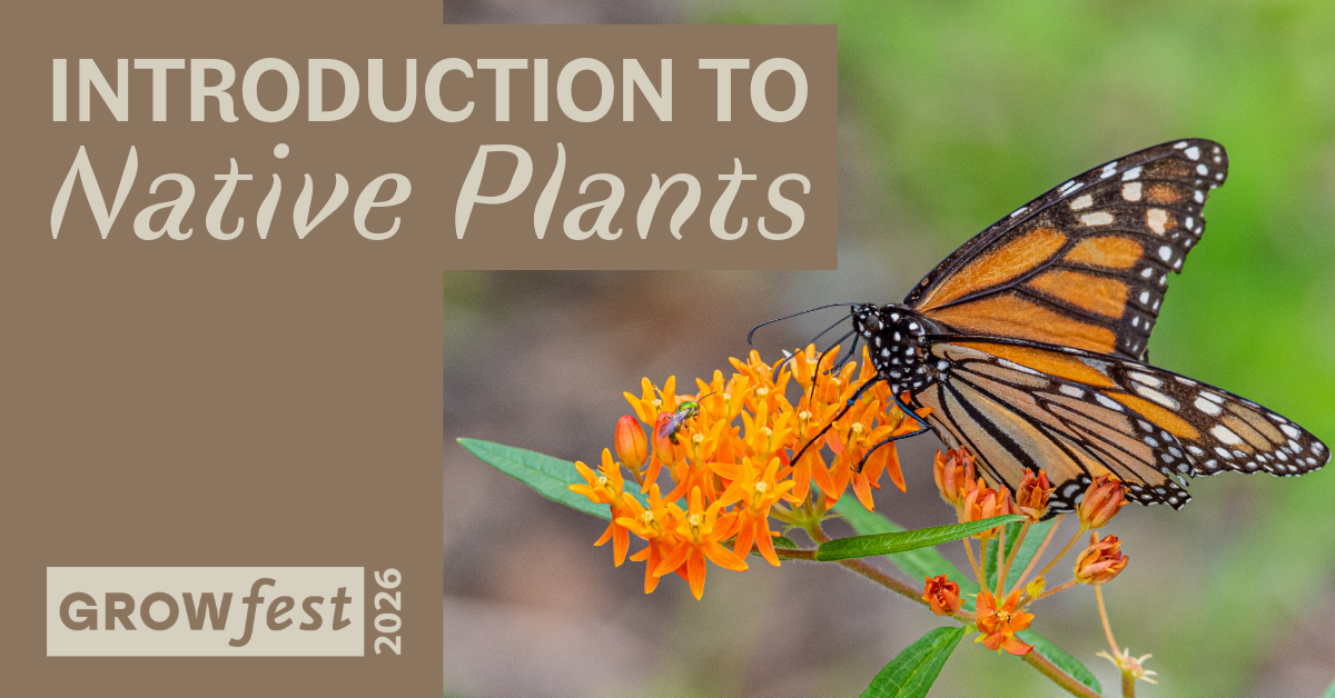 GrowFest 2026: Introduction to Native Plants image