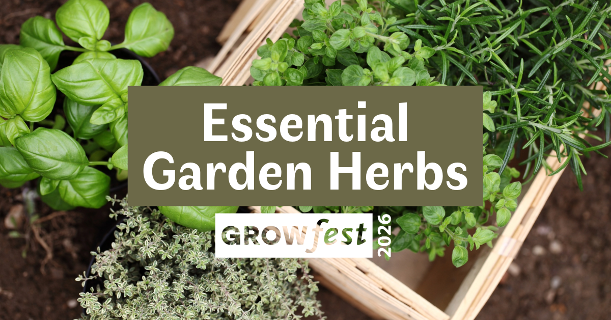 GrowFest 2026: Essential Garden Herbs image