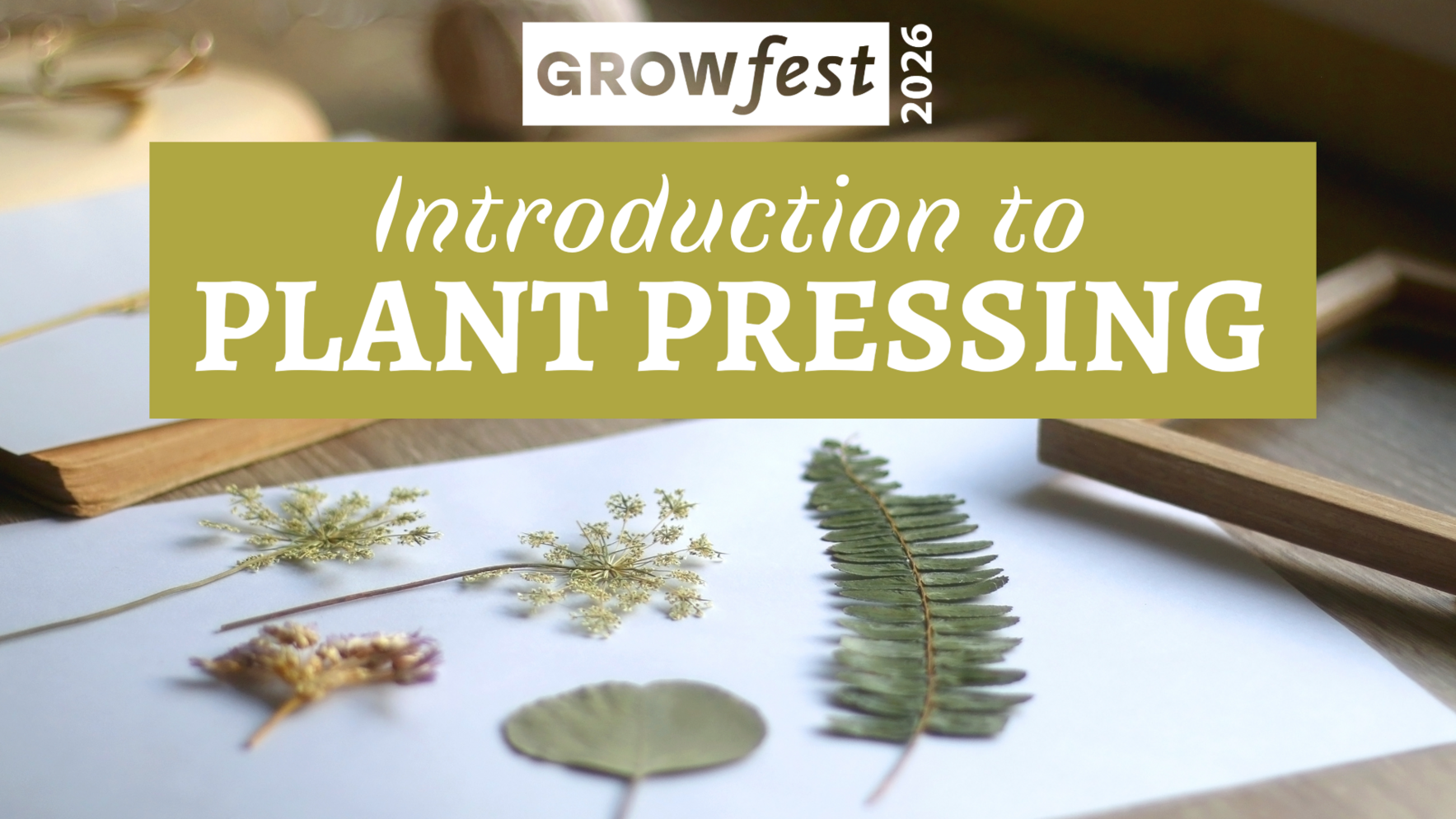 GrowFest 2026: Plant Pressing image