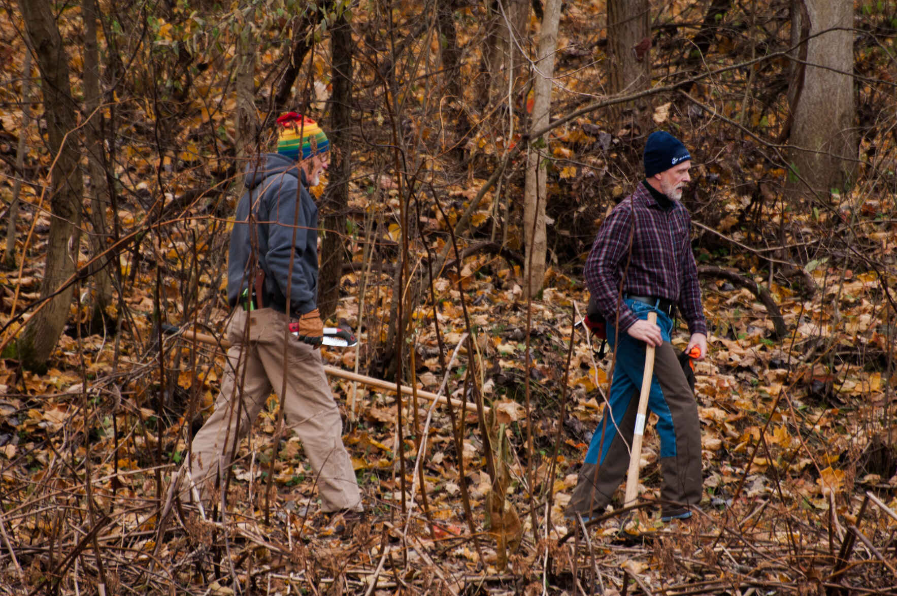 The Great Rake 2026 image