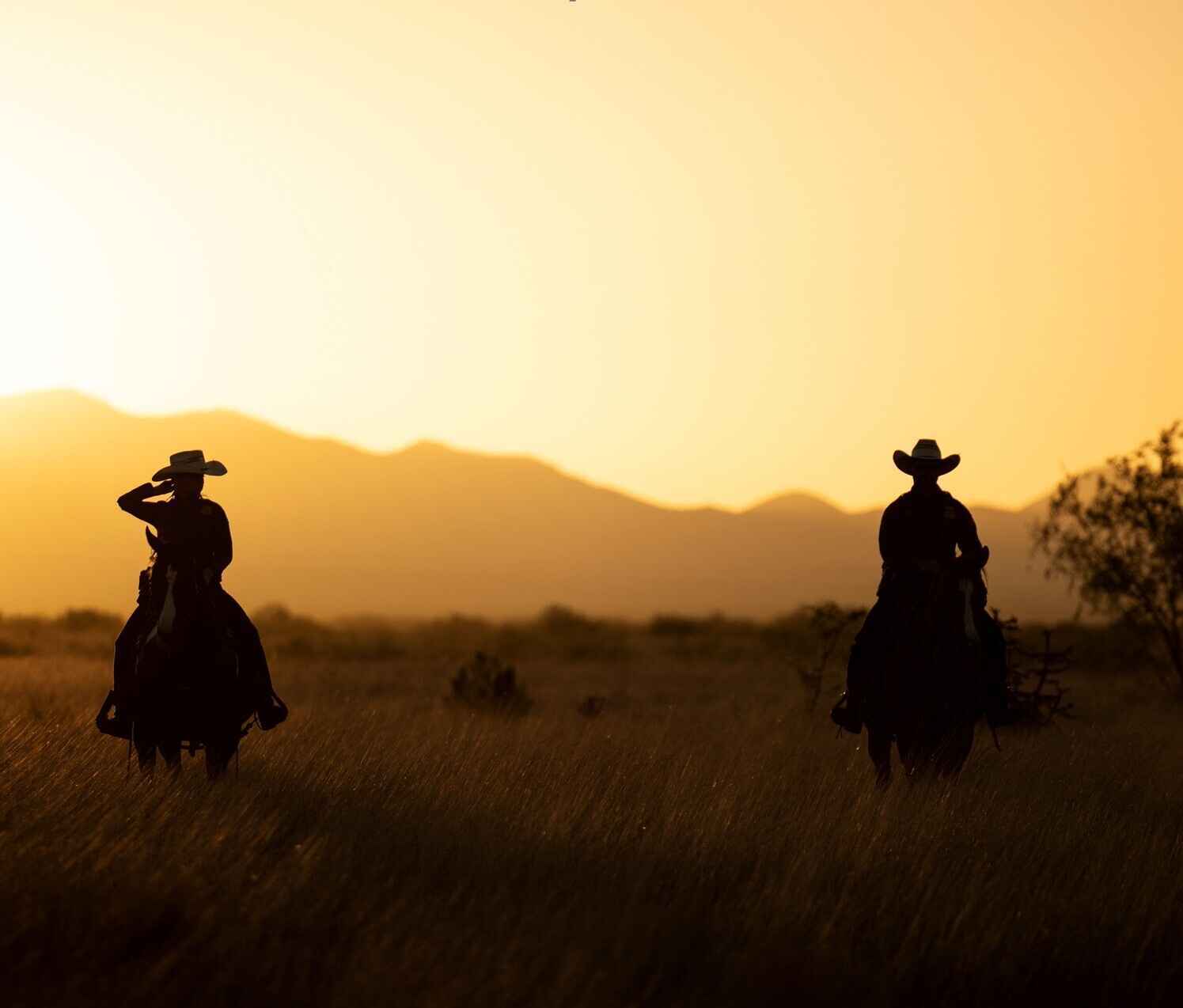 BPF Southwest Soirée image