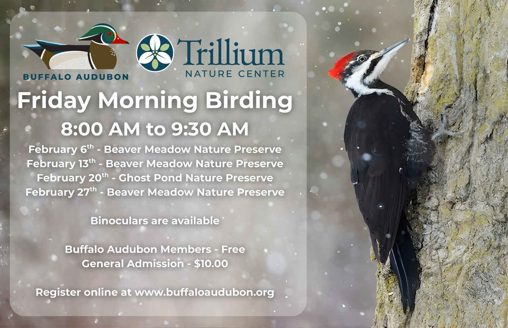 Friday Morning Birding - 2/27/2026 image