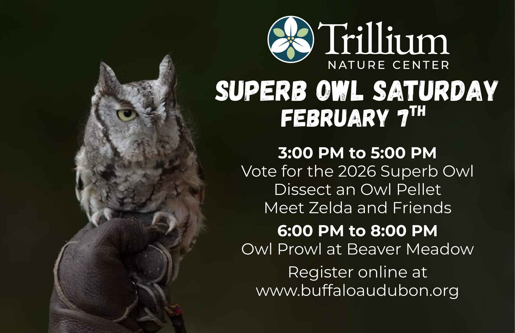 Superb Owl Saturday image