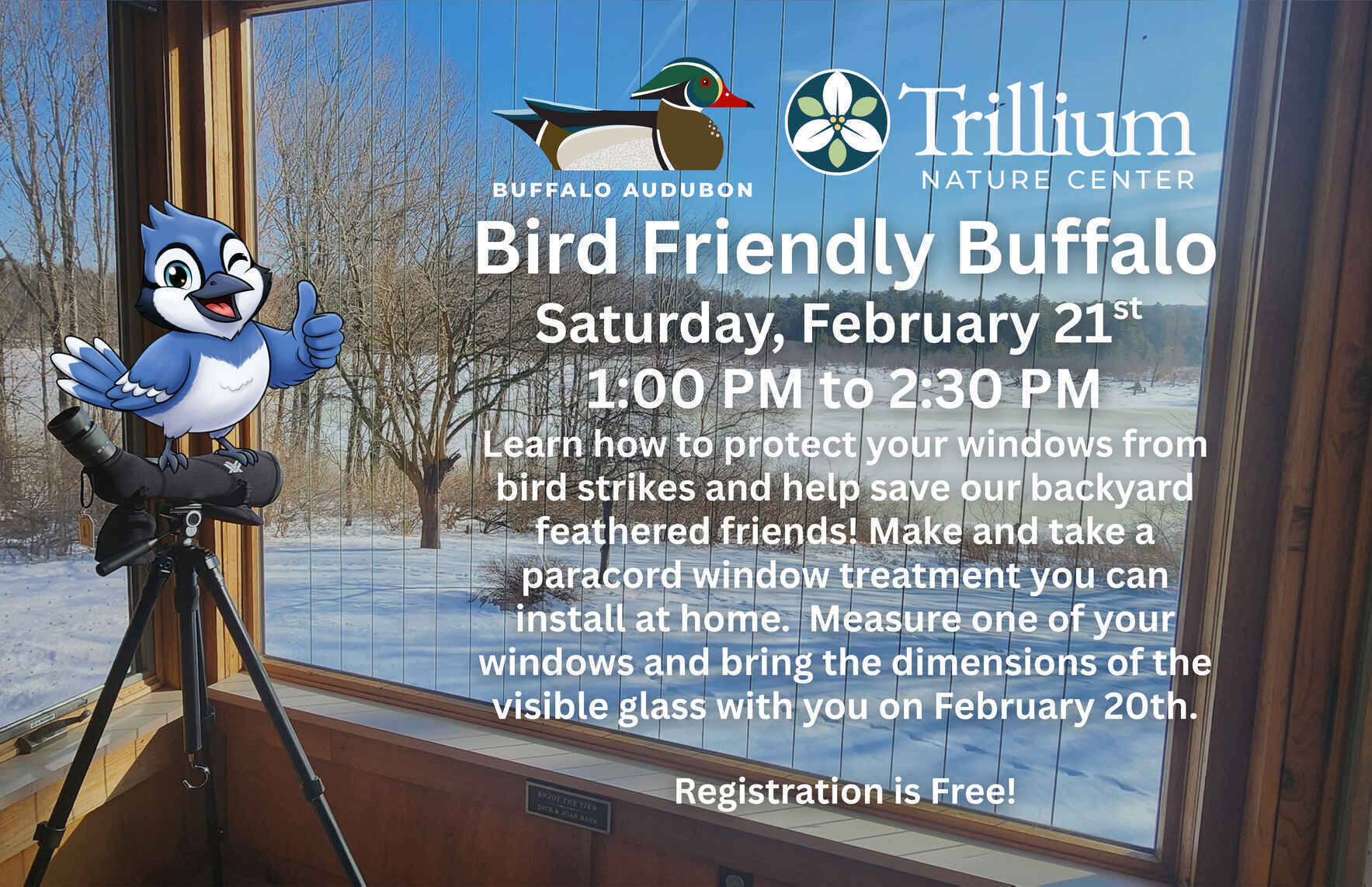 Bird Friendly Buffalo image