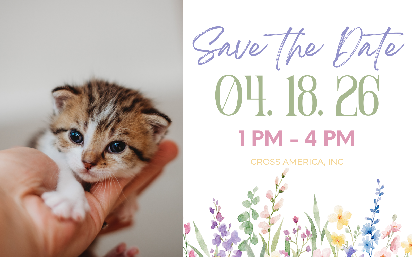 Family-Friendly Kitten Shower 2026 image