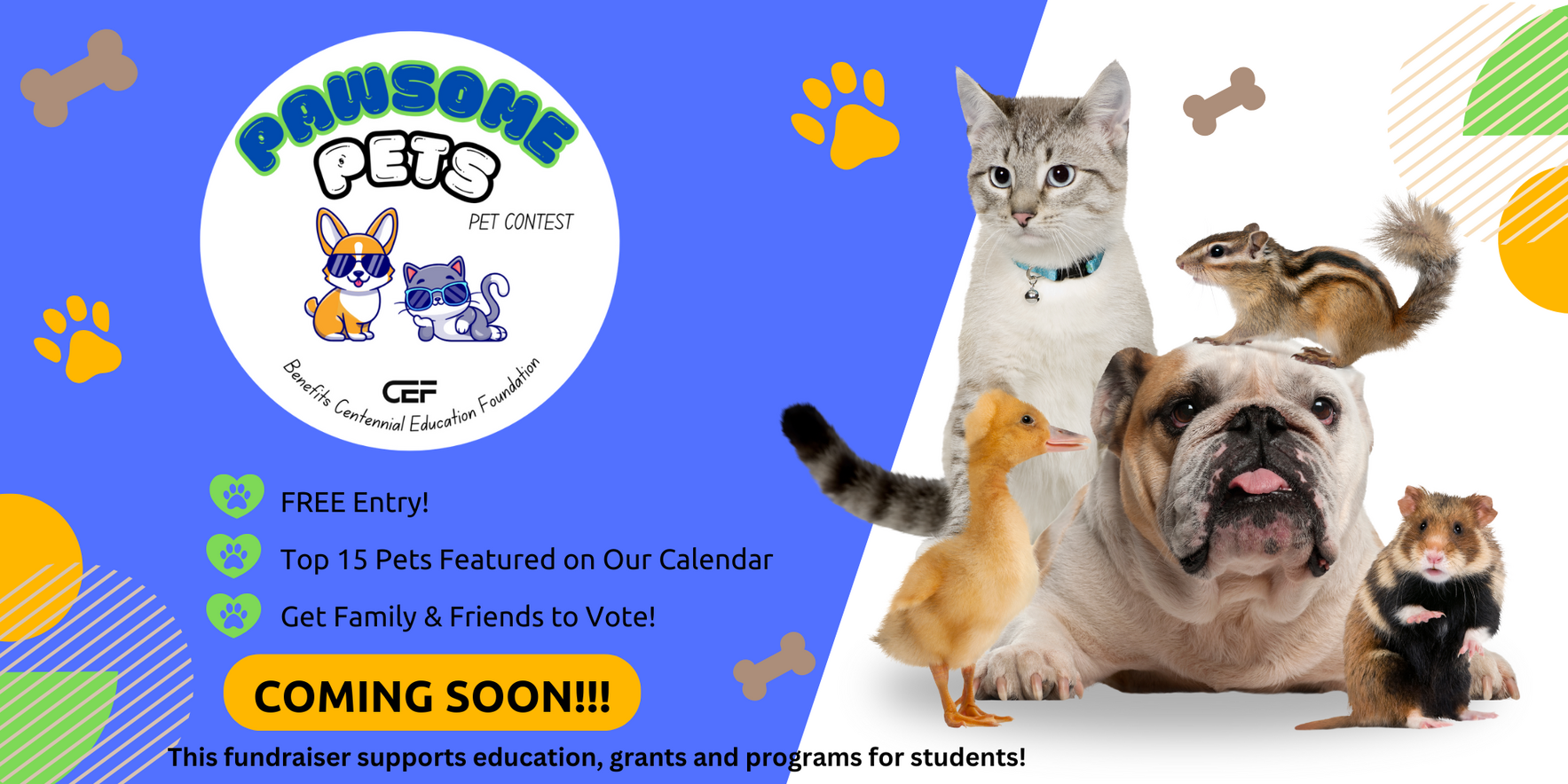Pawsome Pets Contest 2026 image