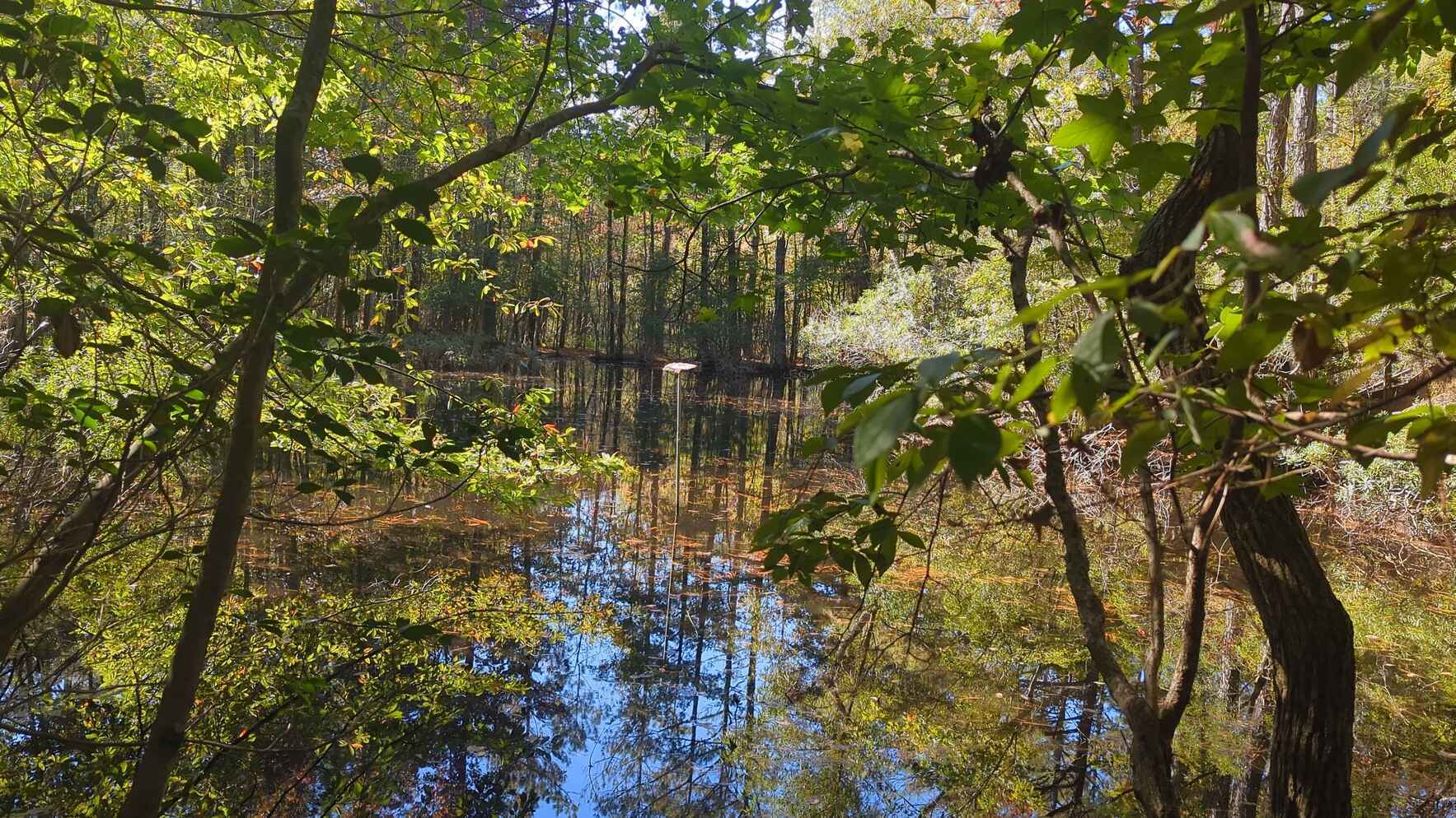 2026 Land Conservation Strategic Planning Meetings  image