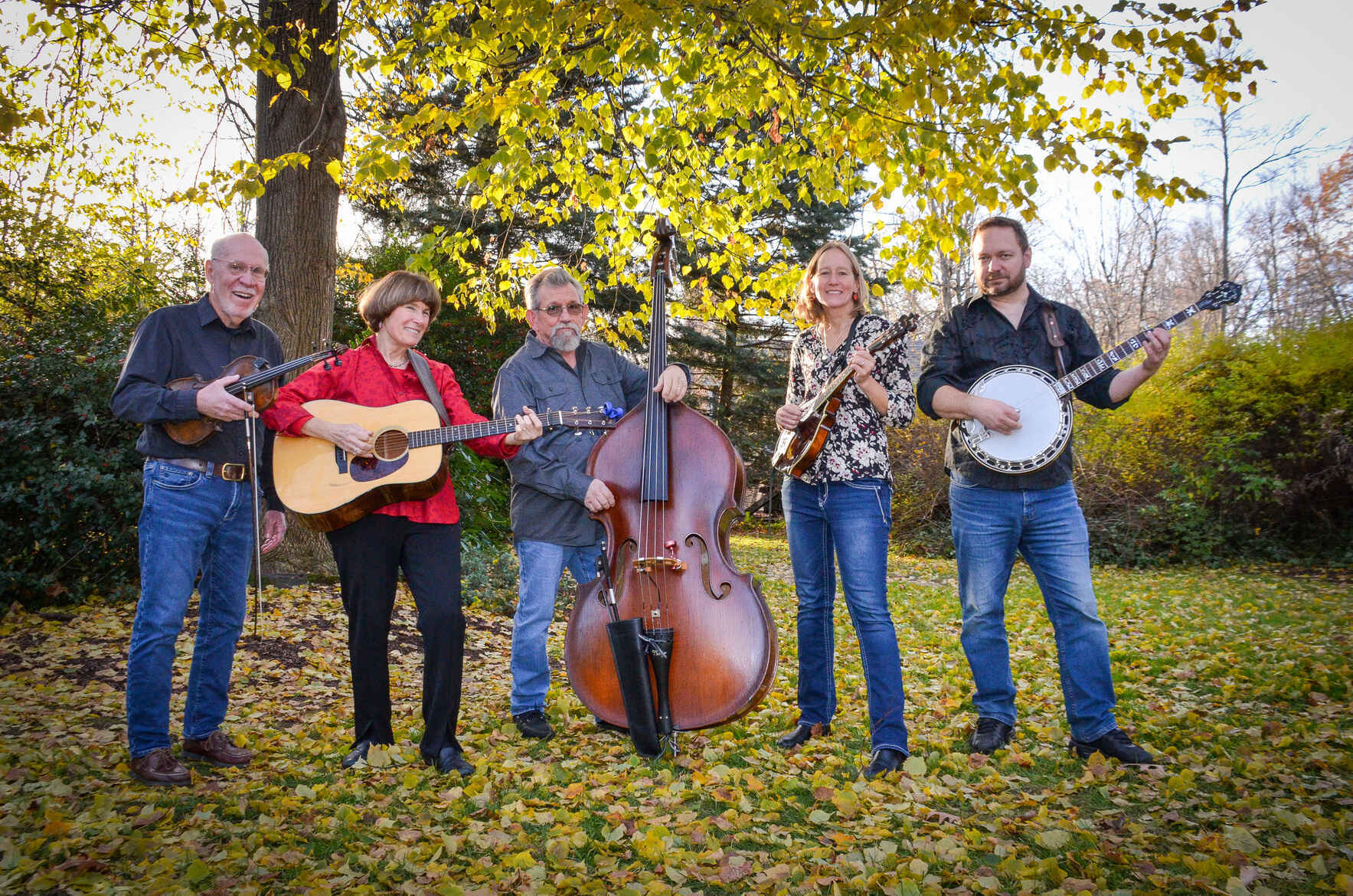Sperry  Creek : Bluegrass image