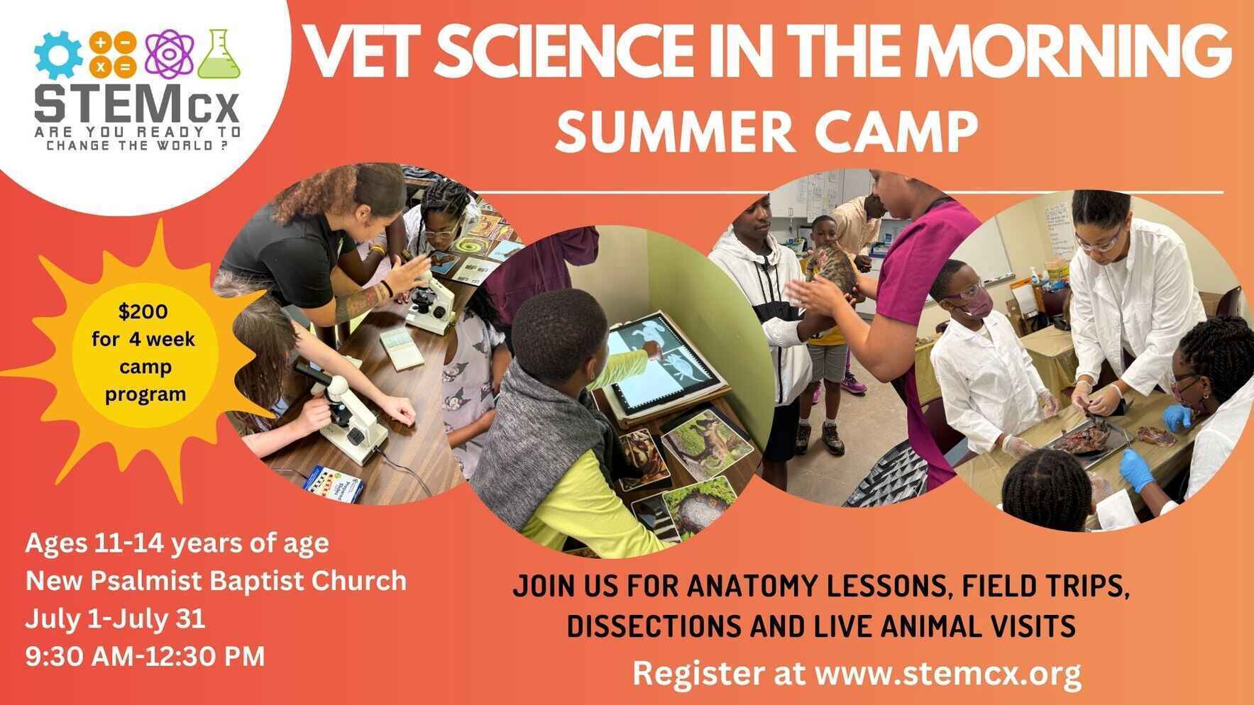 Vet Science Camp in the Morning image