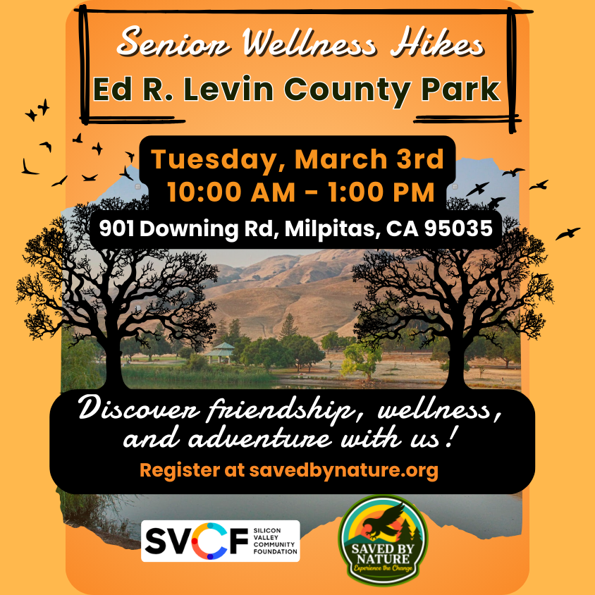 Senior Wellness Hike - Ed R. Levin County Park image