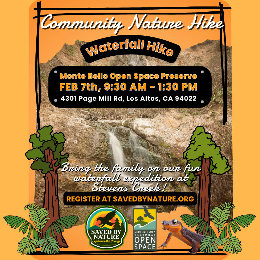 Community Nature Hike - Waterfall Hike at Steven's Creek - Monte Bello Open Space Preserve image