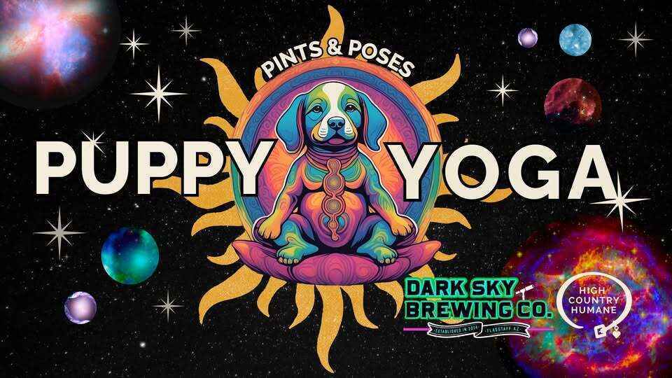 Pints & Poses: Puppy Yoga image