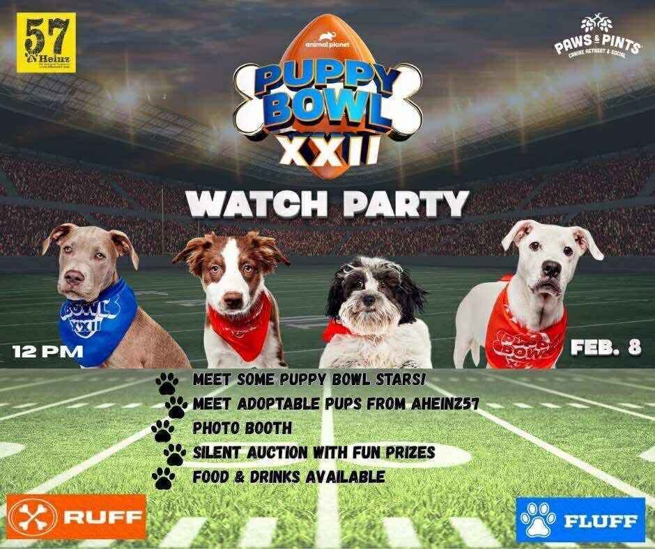 Puppy Bowl XXII Watch Party image