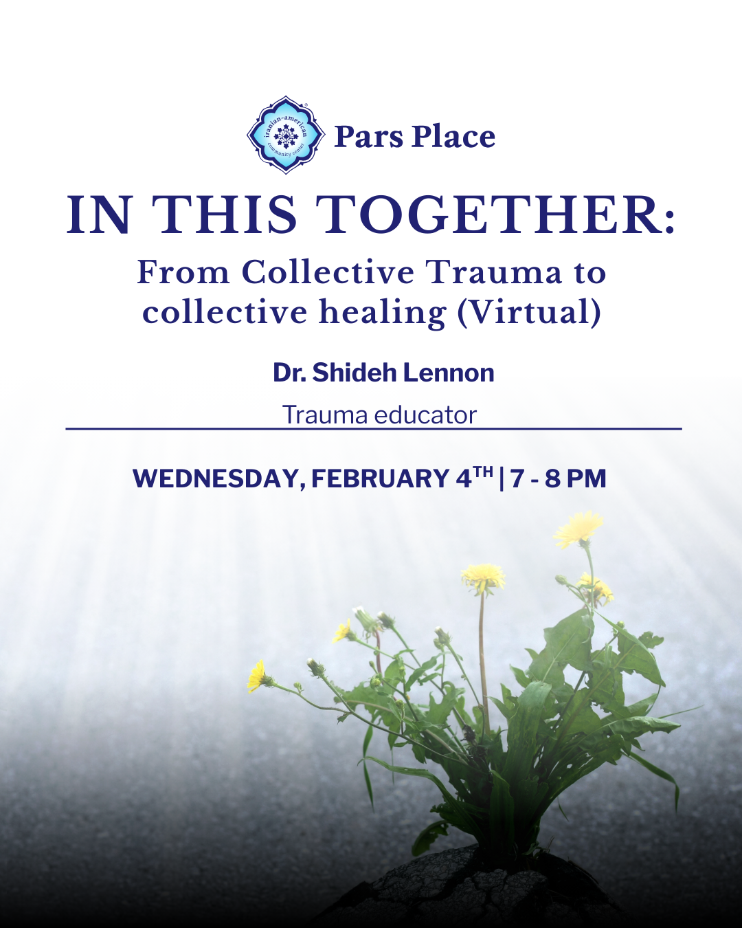 In This Together: From Collective Trauma to Collective Healing - Session 4 image