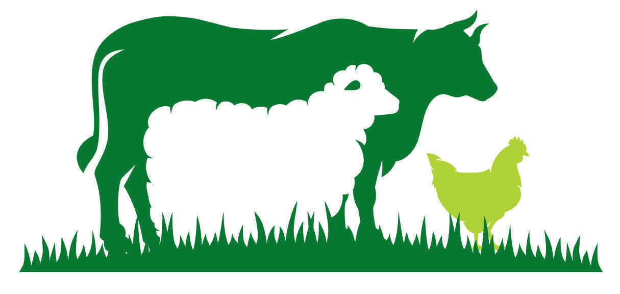 2nd Annual Brunch in the Barnyard image