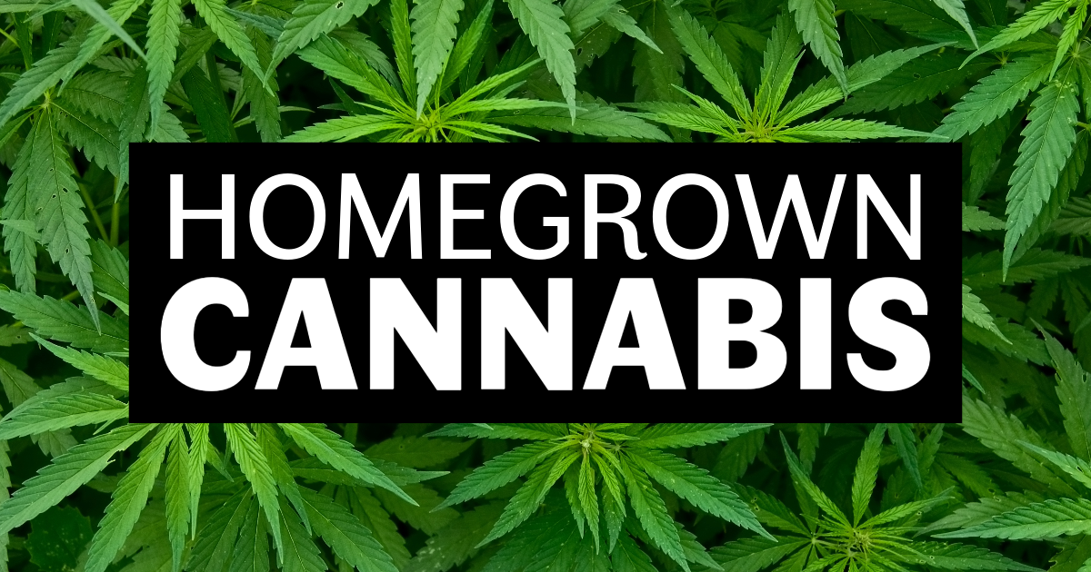 Homegrown Cannabis image