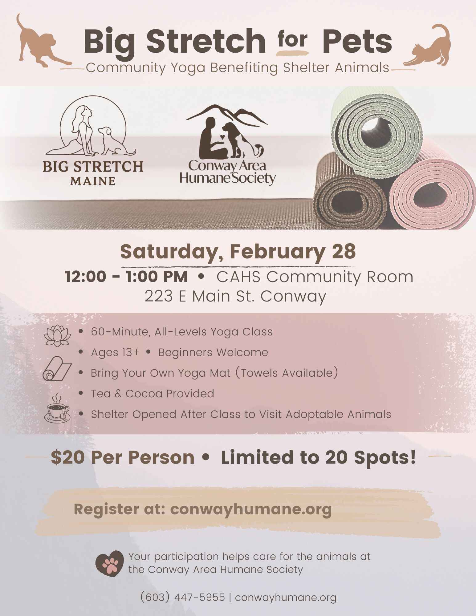 Big Stretch for Pets image