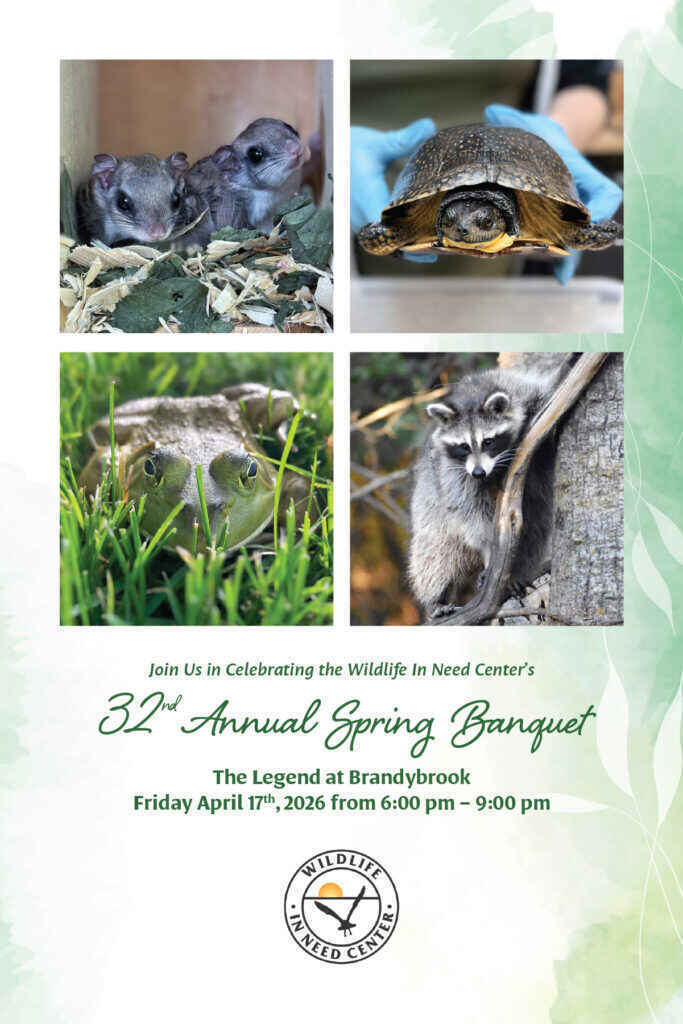 32nd Annual Spring Banquet image